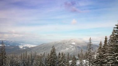 Güzel Dağ Günü, Bulutlu Kış Ağaçları