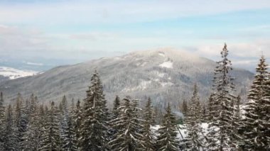 Güzel Dağ Günü, Bulutlu Kış Ağaçları