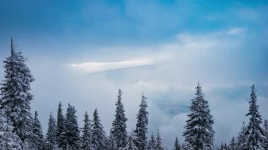 Güzellik, doğanın keşfine gölge düşürür, Uhd 4k zaman ayarlı, Nikon D800 kamerasında çekilir..