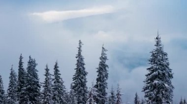 Güçlü bir kar fırtınası