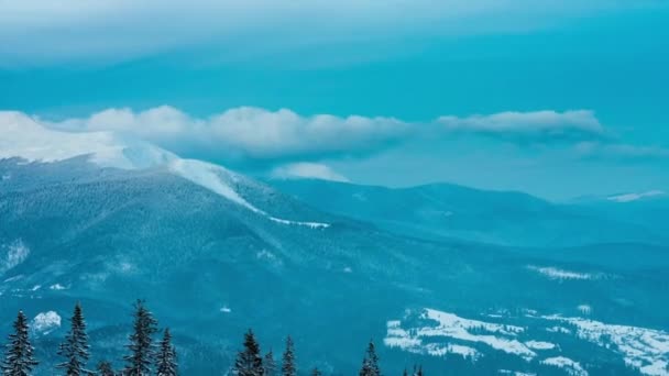 美丽的山地日 多云的冬季冷杉树 — 图库视频影像