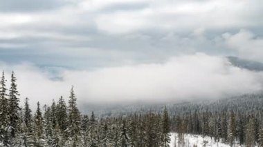 Güçlü bir kar fırtınası
