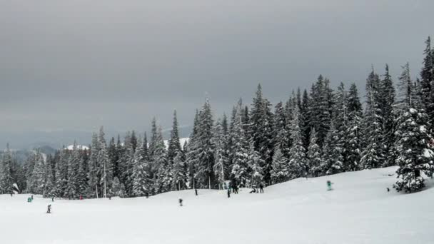 Una Forte Tempesta Neve Invernale — Video Stock