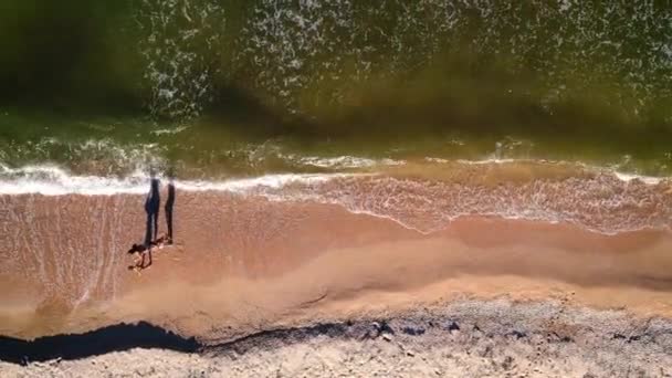 Mamma Figlie Piedi Attraverso Onde Lungo Riva Del Mare Drone — Video Stock