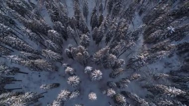 Akşam güneşiyle aydınlatılan Karlı Dağların Üzerinden Uçuş