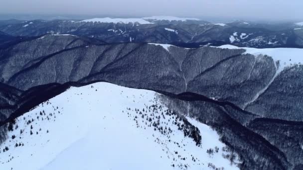 冬のカルパチアの自然 空中ビューリアルタイム Uhd — ストック動画