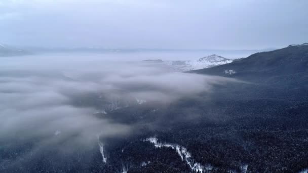 Winterkarpaten Natur Luftbild Echtzeit Uhd — Stockvideo