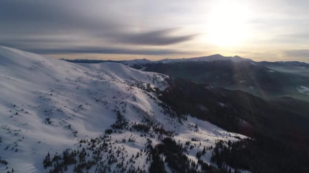 Invierno Carpatians Naturaleza Vista Aérea Tiempo Real Uhd — Vídeos de Stock