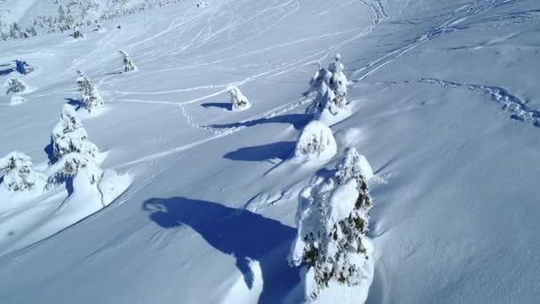 晴れた冬の日に山の中に位置する雄大な雪のドリフトのビューを切り替える 美しい北部の自然と世界の驚異の概念 — ストック動画