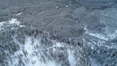 Güneşli ve bulutsuz bir kış gününde dağlardaki görkemli kar yığınlarının büyüleyici görüntüsü. Güzel kuzey doğası ve dünyanın harikaları kavramı..