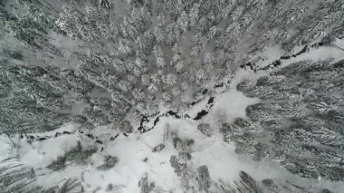 Sisli kış dağının hava manzarası. Çevre, doğa.