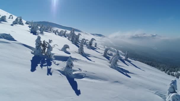 Impresionante Vista Las Majestuosas Nevadas Ubicadas Las Montañas Soleado Día — Vídeos de Stock