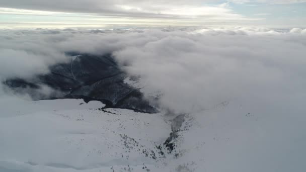 Vista Aerea Nella Nebbiosa Montagna Invernale Ambiente Natura — Video Stock