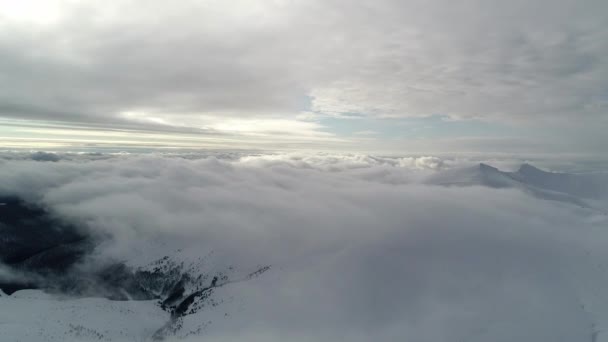 Vista Aerea Nella Nebbiosa Montagna Invernale Ambiente Natura — Video Stock