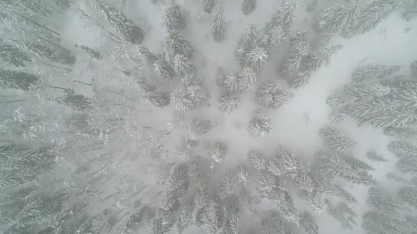 Vista Aérea Nebulosa Montaña Invierno Medio Ambiente Naturaleza — Vídeo de stock