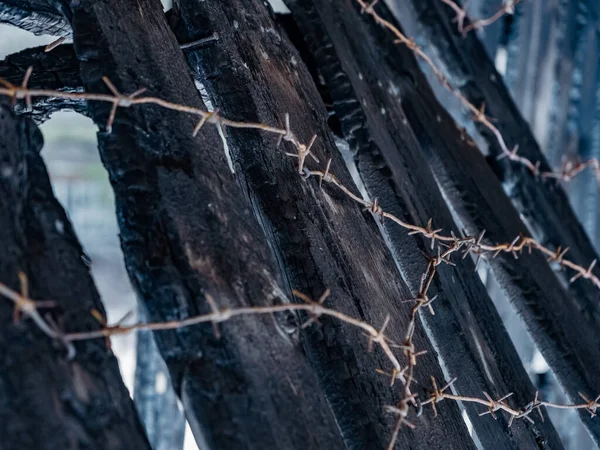 Égett Kerítés Szögesdróttal Tűz Gondatlan Meggondolatlan Kezelésének Következményei — Stock Fotó