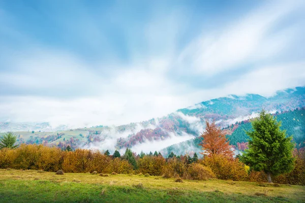 Vista Niebla Día Otoño Las Montañas Hermoso Valle Con Árboles — Foto de Stock