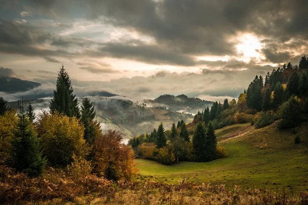 Vista Salida Del Sol Bosque Montaña Con Cielo Nublado Dramático — Foto de Stock