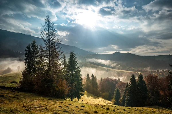 Vista Salida Del Sol Bosque Montaña Con Cielo Nublado Dramático — Foto de Stock