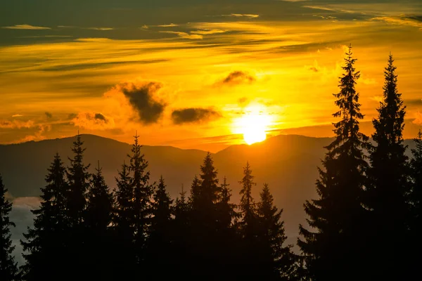 Вид Прекрасний Яскравий Захід Сонця Горах Силуети Ялинки Драматичним Жовтим — стокове фото