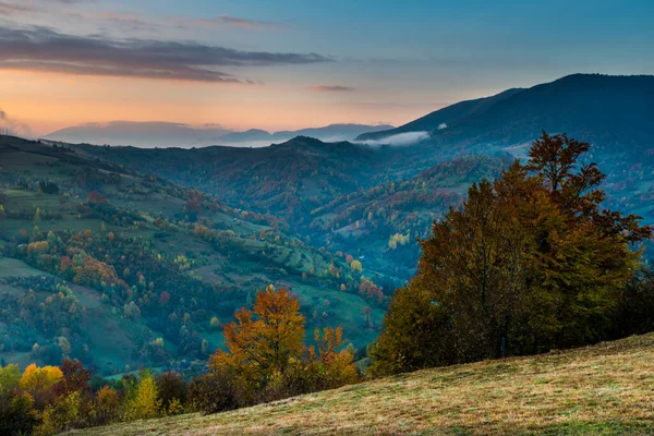 안개낀 하늘을 배경으로 아름다운 풍경이 펼쳐진다 안개낀 아침계 언덕에 자연의 — 스톡 사진