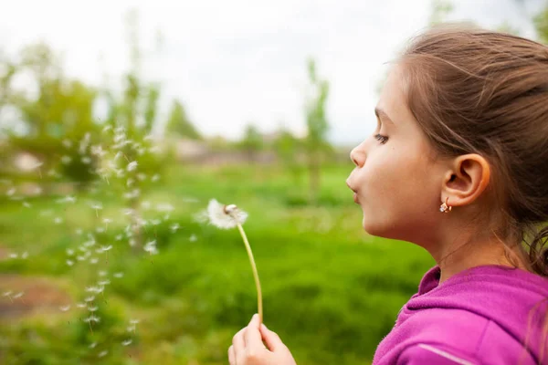 Das Kleine Hübsche Mädchen Hält Den Löwenzahn Der Hand Sommerspaß — Stockfoto