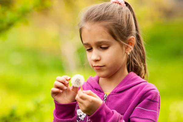 Das Kleine Hübsche Mädchen Hält Den Löwenzahn Der Hand Sommerspaß — Stockfoto