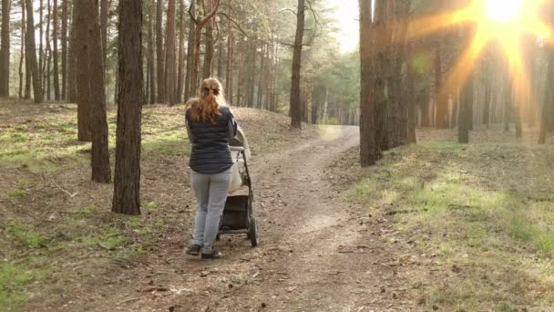 Een Vrouw Met Een Wandelwagen Wandelt Het Voorjaarsbos Frisse Lucht — Stockvideo