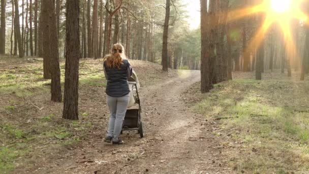 Kobieta Wózkiem Spaceruje Wiosennym Lesie Świeżym Powietrzu Nie Boi Się — Wideo stockowe