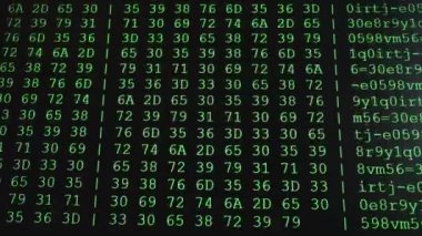 Bilimsel aygıt ekranında HEX kodu, yeşil metin ASCI bilgisi, 4K UHD video