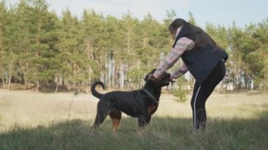 Ormanda bir köpekle oyunlar. En iyi arkadaşınız ve korumanızla kozalaklı ormanda yürüyün. Bir köpekle. 4K UHD hala video kamera, 2x yavaş çekim.