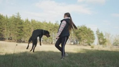 Ormanda bir köpekle oyunlar. En iyi arkadaşınız ve korumanızla kozalaklı ormanda yürüyün. Bir köpekle. 4K UHD hala video kamera, 2x yavaş çekim.