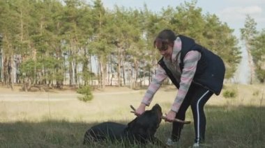 Ormanda bir köpekle oyunlar. En iyi arkadaşınız ve korumanızla kozalaklı ormanda yürüyün. Bir köpekle. 4K UHD hala video kamera, 2x yavaş çekim.