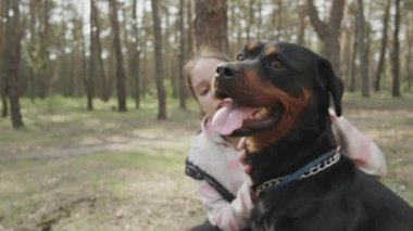 Kozalaklı bir ormanda köpek gezdiriyorum. Güneşli bir gün ve kozalaklı ormanda köpekle yürümek. Köpek adamın en iyi arkadaşı. 4K UHD hala video kamera, 2x yavaş çekim.