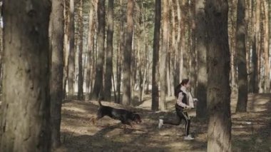 En iyi arkadaşınla ormanda koşuyorsun. Ormanda koşuyor. Sevgili köpeğini gezdiriyorsun. 4K UHD hala video kamera, 2x yavaş çekim.