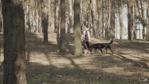 和你最好的朋友一起穿过树林跑过森林 遛走你心爱的宠物狗 4Kuhd静止摄像机 2X慢动作 — 图库视频影像
