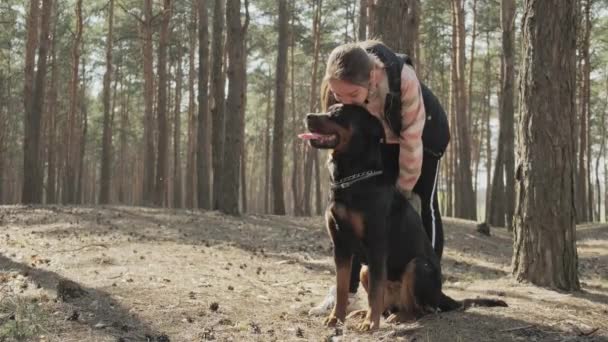 針葉樹林の中を犬が歩いている 晴れた日には針葉樹林の中で犬と一緒に歩いてください 犬男の親友 Uhd静止画カメラ 2倍のスローモーション — ストック動画