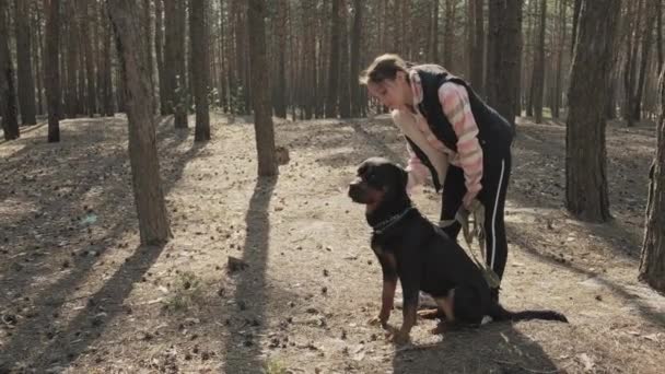 Paseando Perro Bosque Coníferas Día Soleado Paseo Con Perro Bosque — Vídeo de stock