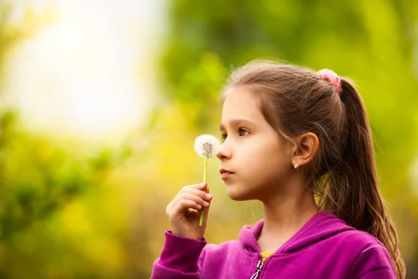 Das Kleine Hübsche Mädchen Hält Den Löwenzahn Der Hand Sommerspaß — Stockfoto