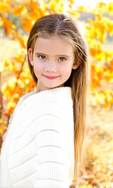 Herfst portret glimlachend schattig meisje in het park — Stockfoto