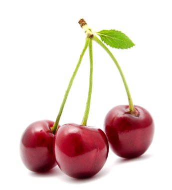 Sulu kiraz yaprağı izole