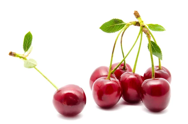 Sappige cherry bij blad geïsoleerd — Stockfoto