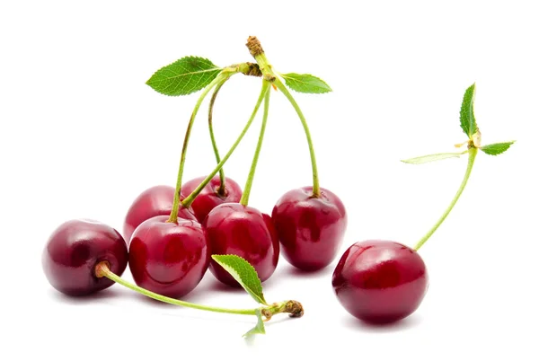 Juicy cherry with leaf isolated — Stock Photo, Image