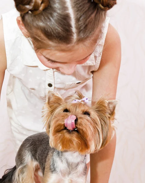 愛らしい笑顔女の子子供女子学生保持しますととともにペット犬ヨークシャーテリア — ストック写真