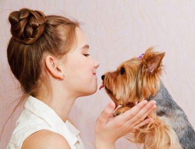 Sevimli, gülümseyen küçük kız liseli kız köpek Yorkshire Teriyeri 'ni tutuyor ve onunla oynuyor. 