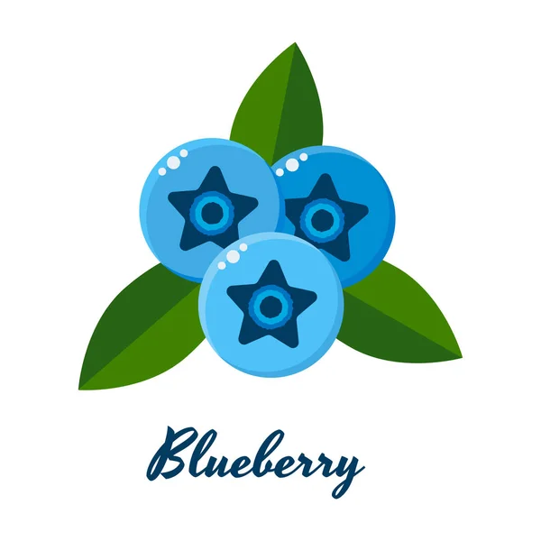 緑 leav とブルーベリー、青い果実のベクトル イラスト — ストックベクタ