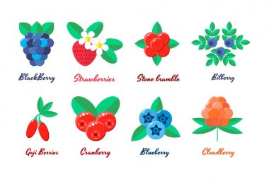 vektör çizim. çilek ayarlayın. çilek, yaban mersini, blu