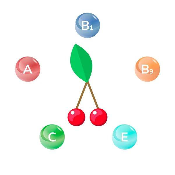 Illustrazione vettoriale. ciliegia con foglia verde. Bacca. Infografica — Vettoriale Stock