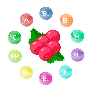 Vector illustration. Red currant. Garden berries. Infographics. clipart