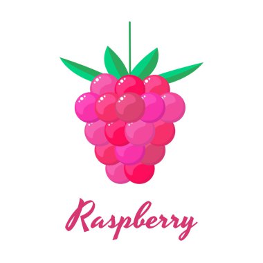 vektör çizim. Ahududu. Bahçe çilek.